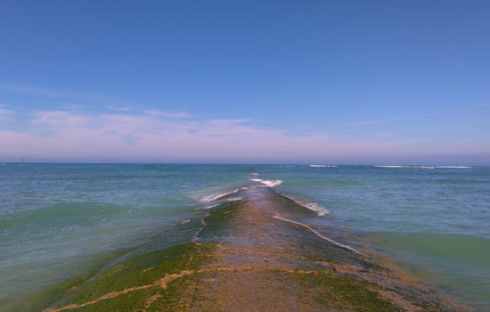 Iles charente maritime